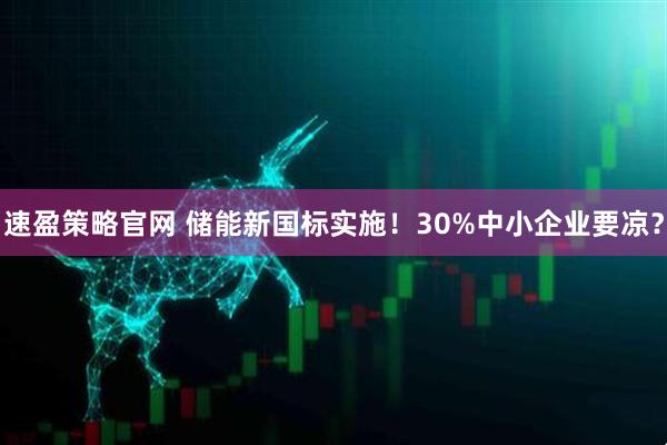 速盈策略官网 储能新国标实施！30%中小企业要凉？