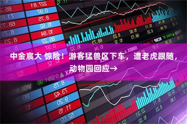 中金宸大 惊险！游客猛兽区下车，遭老虎跟随，动物园回应→